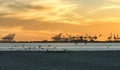 Orange sunset sky with bay view and silhouettes of port cranes at a distance in Long Beach, California. Royalty Free Stock Photo