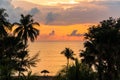 Beautiful sunset sky on the sea with silhouette trees. Morning sunrise on the beach of Desaru Coast, Malaysia Royalty Free Stock Photo