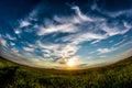 Beautiful sunset sky with white clouds over a green summer field with poppies Royalty Free Stock Photo