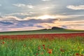 Beautiful sunset sky with white clouds over a green summer field with poppies Royalty Free Stock Photo