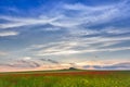 Beautiful sunset sky with white clouds over a green summer field with poppies Royalty Free Stock Photo