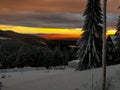 Beautiful sunset with spruce trees and snowy landscape Royalty Free Stock Photo