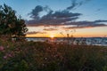 Beautiful sunset starburst on Lake Superior with wildflowers in the foreground