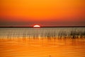 Beautiful sunset with the sun on the horizon reflecting the golden light in the lake water Royalty Free Stock Photo