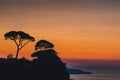 Beautiful sunset sun setting behind trees on Italy Hills in Sorrento, bast place in Italy Royalty Free Stock Photo