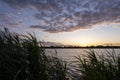 Beautiful sunset or sunrise above a lake early summer evening with reed grass