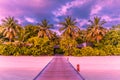 Sunset beach in Maldives island. Amazing palm trees and jetty into paradise beach