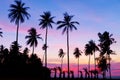 Beautiful sunset or sunrise with silhouette palm trees on tropical island Beautiful light of nature scenery background Royalty Free Stock Photo