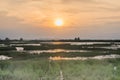 Beautiful sunset at Talay-Noi Ramsar Sites. Royalty Free Stock Photo