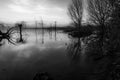 Beautiful sunset at Trasimeno lake Umbria, with perfectly still water and skeletal trees Royalty Free Stock Photo