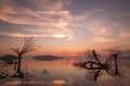 Beautiful sunset at Trasimeno lake Umbria, with perfectly still water, skeletal trees and beautiful warm colors Royalty Free Stock Photo