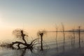 Beautiful sunset at Trasimeno lake Umbria, with perfectly still water, skeletal trees and beautiful warm colors Royalty Free Stock Photo