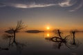 Beautiful sunset at Trasimeno lake Umbria, with perfectly still water, skeletal trees, sun low on the horizon and Royalty Free Stock Photo