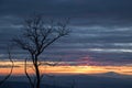 Beautiful sunset, with tree silhouette in the foreground, a valley and mountains in the background, and red clouds in the sky Royalty Free Stock Photo