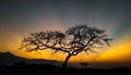 this beautiful sunset trees landscape Royalty Free Stock Photo