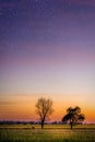 A beautiful sunset, trees and stars. Royalty Free Stock Photo