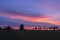 Beautiful sunset. Trees on a sunset in summer background Royalty Free Stock Photo