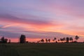 Beautiful sunset. Trees on a sunset in summer background Royalty Free Stock Photo