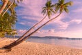 Beautiful sunset on the tropical beach on Boracay island, Philippines. Coconut palm trees, sea, sailboat and white sand. Nature Royalty Free Stock Photo