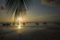 Beautiful sunset on tropical beach, Koh Tao, Thailand. Palm tree leaf silhouette, boats in low tide