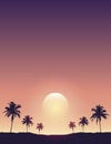 beautiful sunset on tropical palm tree silhouette background Royalty Free Stock Photo