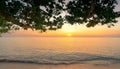 Beautiful sunset at tropical paradise beach. View from under the tree at seaside in the evening at sandy beach. Summer vibes. Royalty Free Stock Photo