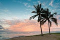 Beautiful sunset with two palm trees over the ocean horizon Royalty Free Stock Photo