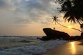 Beautiful sunset under the plams on the troical beach. Unawatuna, Sri Lanka Royalty Free Stock Photo