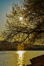 Beautiful sunset view at the artificial lake of tirana