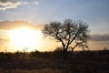 Beautiful sunset view in Kruger Southafrica Royalty Free Stock Photo