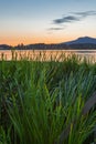 Beautiful sunset view from long green grass to a moutain lake with sun glow and sky on the background Royalty Free Stock Photo