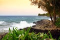 Beautiful sunset view of Onomea Bay on the Big Island of Hawaii