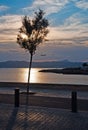 Beautiful sunset view over Palma bay Royalty Free Stock Photo