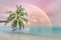 Beautiful sunset view, palm tree over blue sea and rainbow sky. Dreamy seascape Royalty Free Stock Photo