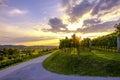 Beautiful sunset at vineyards of Vipava valley, Slovenia Royalty Free Stock Photo