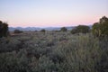 Beautiful sunset on the way to the Meerkat Adventure in Oudtshoorn, Little Karoo in South Africa