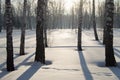 Beautiful sunset in winter Park, trees, snow Royalty Free Stock Photo