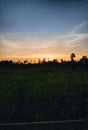 Beautiful sunsets while camping in Merauke, Indonesia Royalty Free Stock Photo