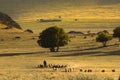 Beautiful sunshine landscape with shepherd and sheep