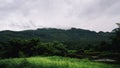 Beautiful sunshine at misty morning mountains of Thailand. Rainforest ecosystem and healthy environment concept background, Royalty Free Stock Photo