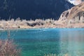 Surface water of mountain lake, rivers delta and mountain forest