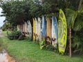 Beautiful Surfboard Fence with Vegetation