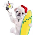 Beautiful surfer dog in red Christmas hat on the beach taking a selfie together with a smartphone. Royalty Free Stock Photo