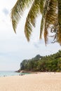 Beautiful Surin beach in Choeng Thale city, Phuket, Thailand with white sand, turquoise water and palm trees