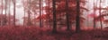Beautiful surreal alternate color fantasy Autumn Fall forest lan