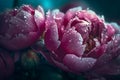 Beautiful Surreal peonies with dew drops close-up. Floral background. Generative AI illustration