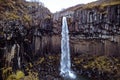 Svartifoss Waterfall and Sjonarnipa at Skaftafell national park in south Iceland southern Iceland