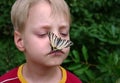 Baby and butterfly. beautiful swallowtail butterfly on the nose of a little boy.