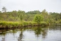 A beautiful swamp landscape near the lake in morning light. Marsh scenery in Northern europe.