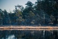 A beautiful swamp pond with a raising mist during the sunrise. Quagmire in a frowen wetlands in autumn. Bright light with sun flar Royalty Free Stock Photo